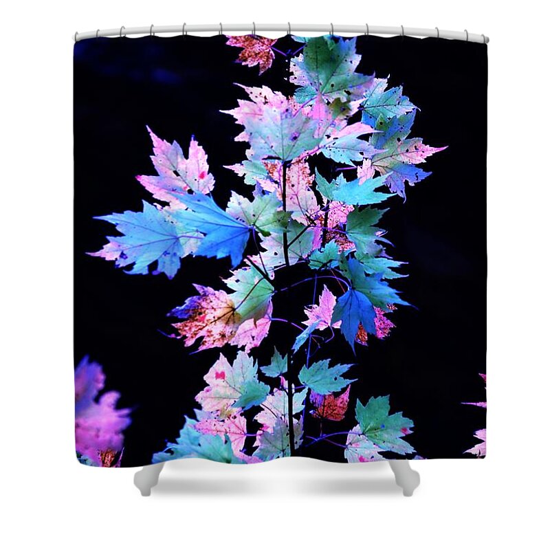 Autumn Shower Curtain featuring the photograph Fall Leaves1 by Merle Grenz