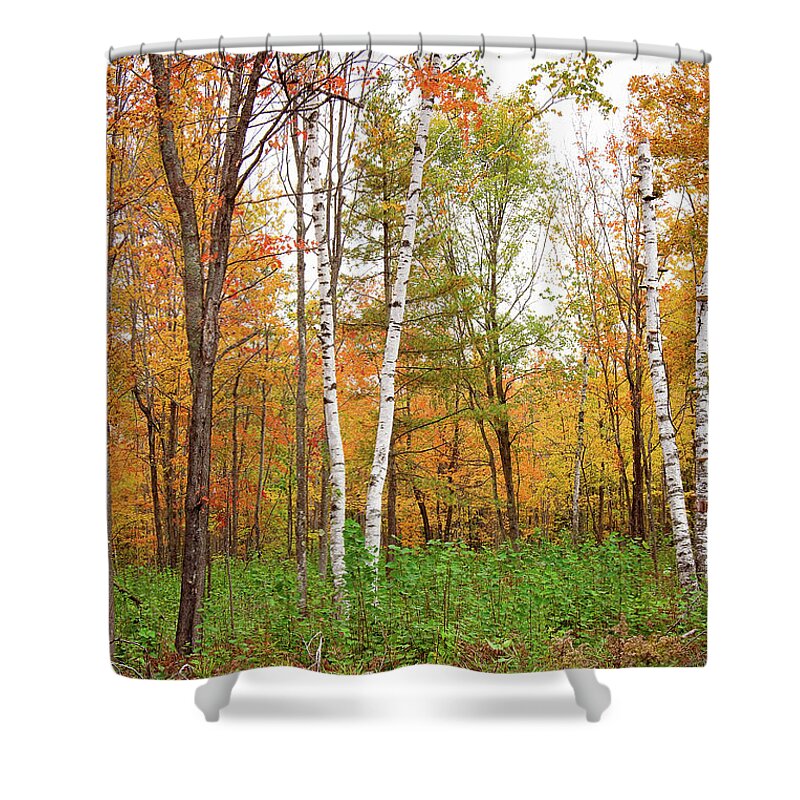 Fall Colors Print Shower Curtain featuring the photograph Fall Living Portrait by Gwen Gibson