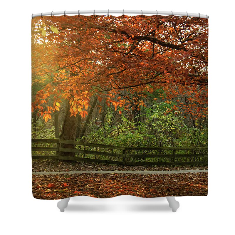 Fence Shower Curtain featuring the photograph Fall on the Beech by Joni Eskridge