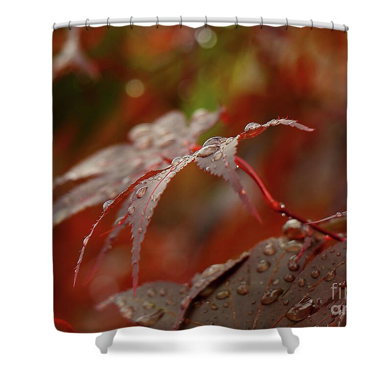 Leaf Shower Curtain featuring the photograph Fall Rain by Les Greenwood