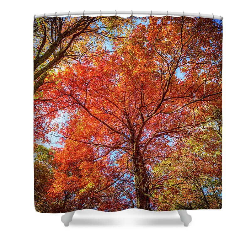 Landscape Shower Curtain featuring the photograph Fall Red by Joe Shrader