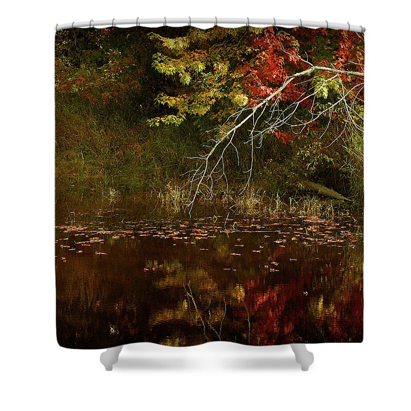 Fall Shower Curtain featuring the photograph Fall Reflections by Cindi Ressler