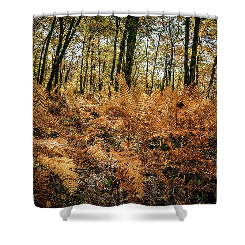 Landscape Shower Curtain featuring the photograph Fall Rust by Joe Shrader