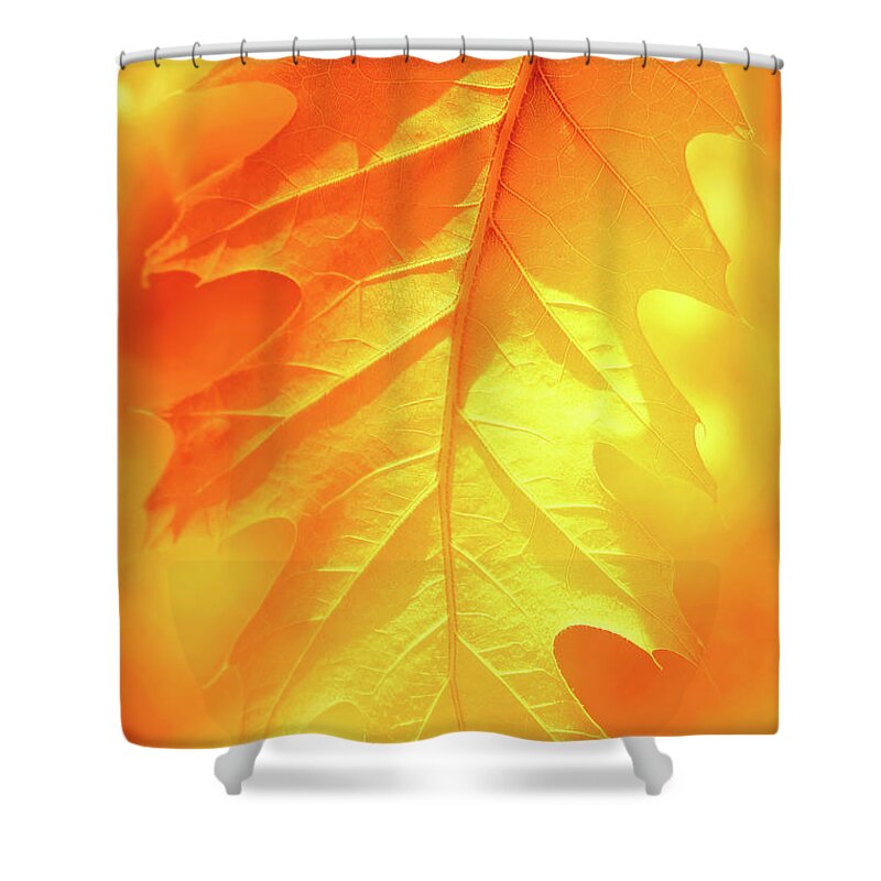 Leaf Shower Curtain featuring the photograph Fall Shade by Iryna Goodall
