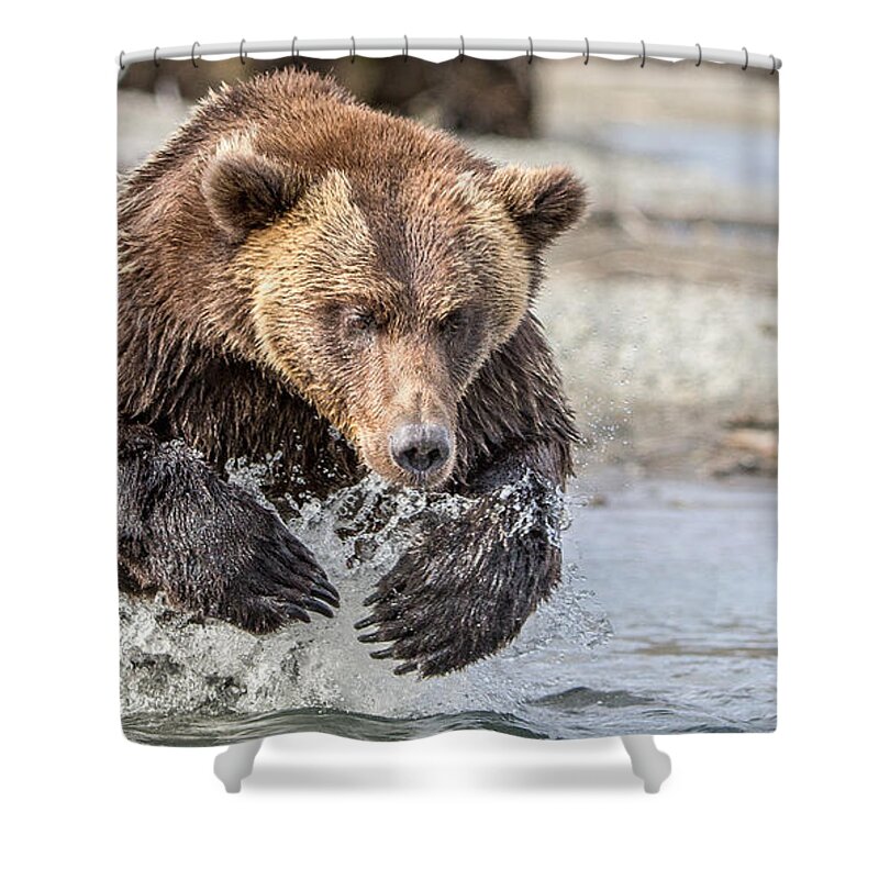 Alaska Shower Curtain featuring the photograph Fall Work by Kevin Dietrich