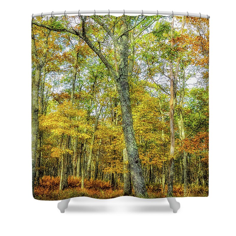 Landscape Shower Curtain featuring the photograph Fall Yellow by Joe Shrader