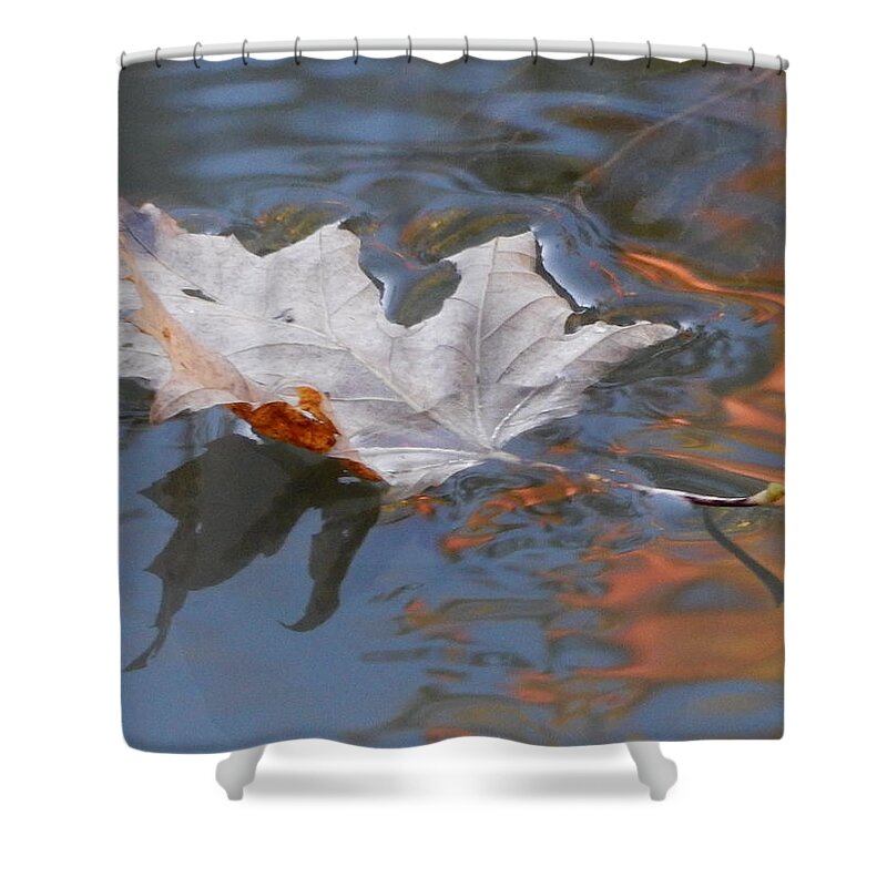 Maple Leaf Shower Curtain featuring the photograph Fallen Leaf by Betty-Anne McDonald