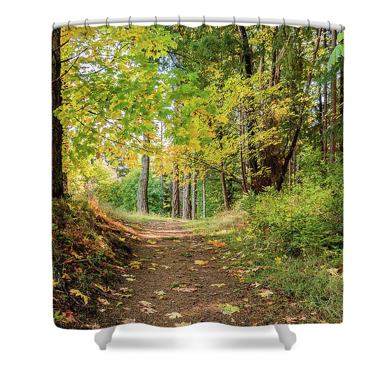 Landscapes Shower Curtain featuring the photograph Fallen Leaves by Claude Dalley