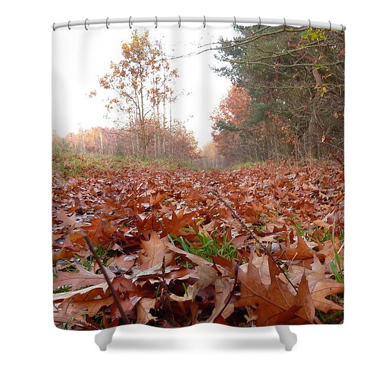 Leaves Shower Curtain featuring the photograph Fallen Leaves by Lukasz Ryszka