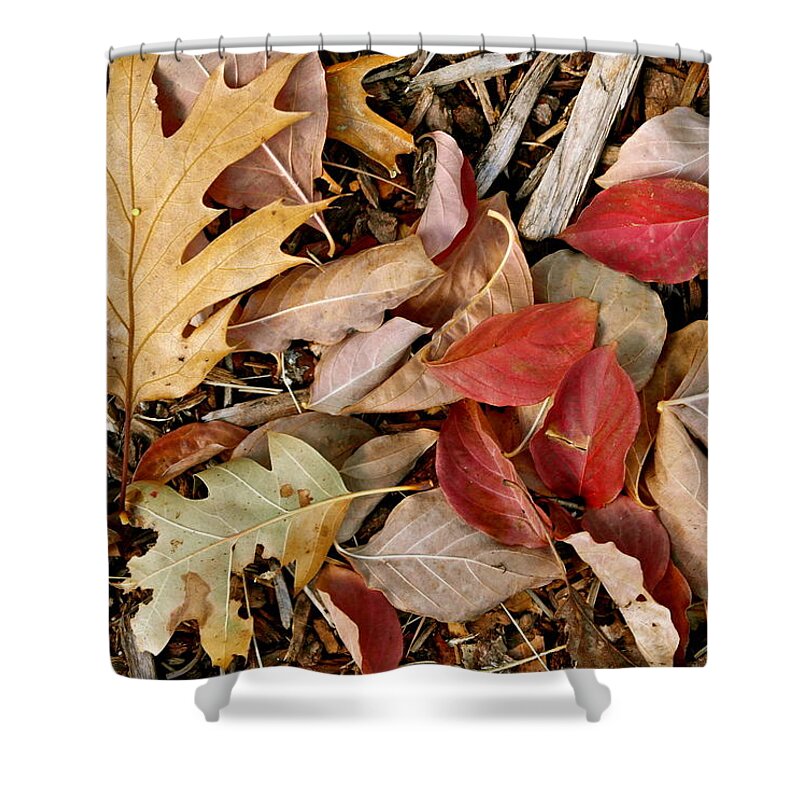 Autumn Shower Curtain featuring the photograph Fallen by Michele Myers