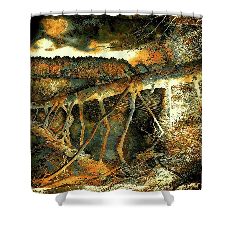 Woods Shower Curtain featuring the photograph Fallen Tree by Lilia S