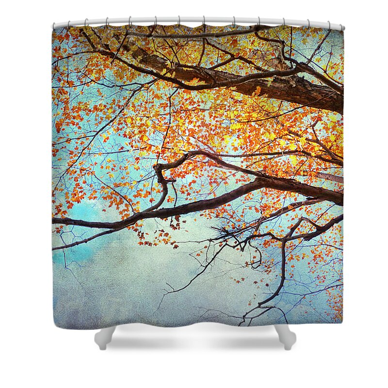 Autumn Leaves Shower Curtain featuring the photograph Fallen For Fall by Kathi Mirto