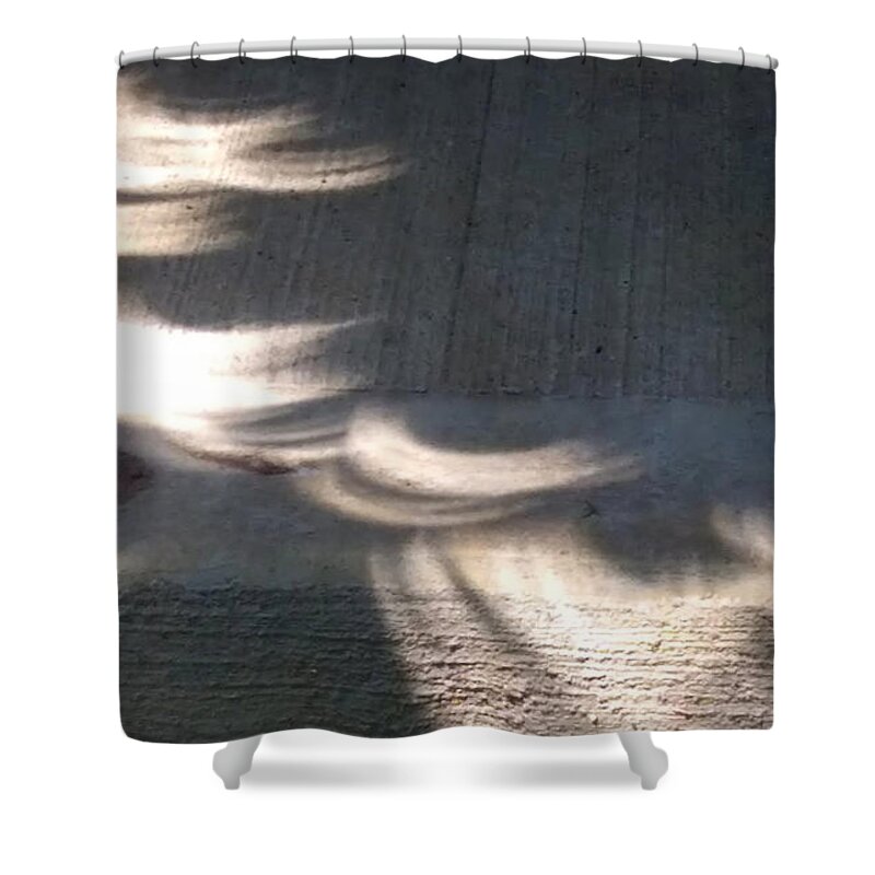 Eclipse Shower Curtain featuring the photograph Falling sunlight by Melinda Dare Benfield