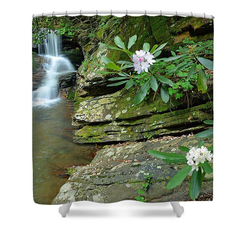 Waterfalls Shower Curtain featuring the photograph Falls On Catawba Creek by Alan Lenk