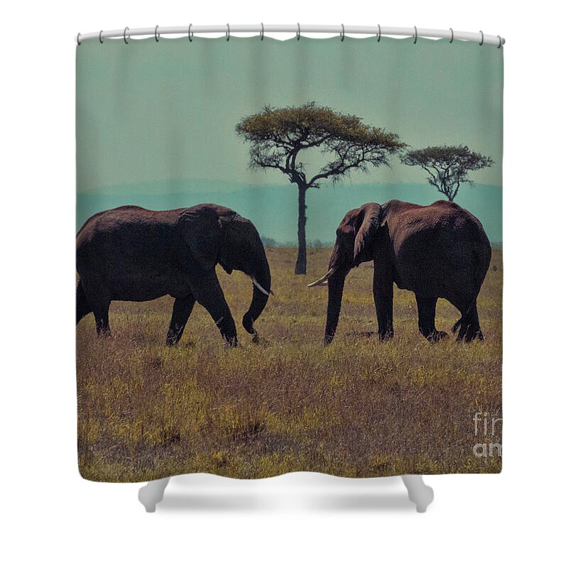 Elephants Shower Curtain featuring the photograph Family by Karen Lewis