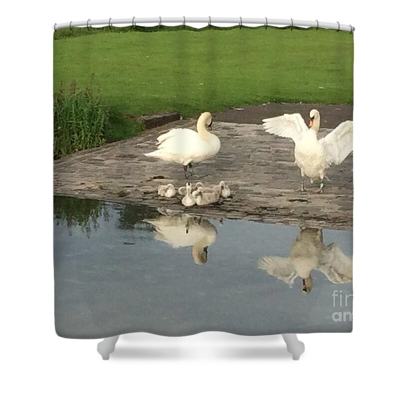 Swan Shower Curtain featuring the photograph Family Outing by David Grant