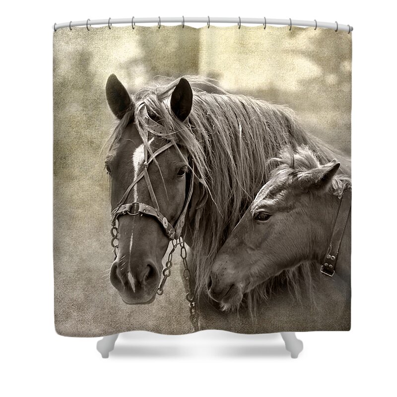 Animal Shower Curtain featuring the photograph Family Ties by Evelina Kremsdorf