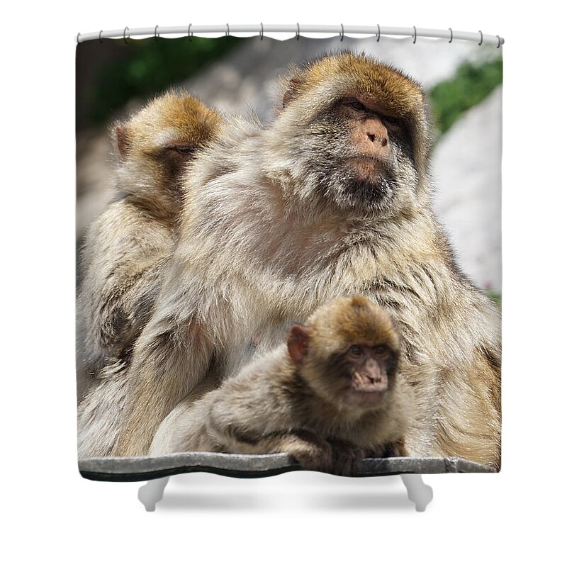 Family Time Shower Curtain featuring the photograph Family Time by Brooke Bowdren