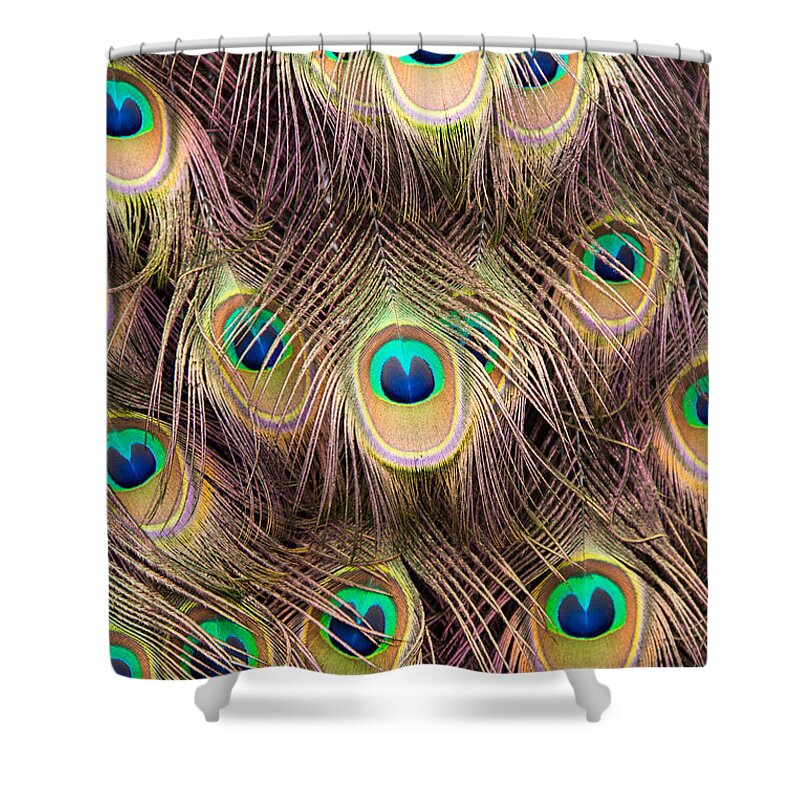 Magnolia Gardens Shower Curtain featuring the photograph Fan of Feathers by Joye Ardyn Durham