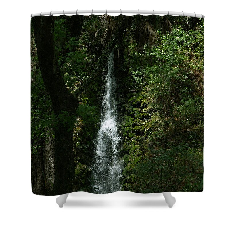 Rainbow River Springs Shower Curtain featuring the photograph Fantasy Falls by Bob Johnson
