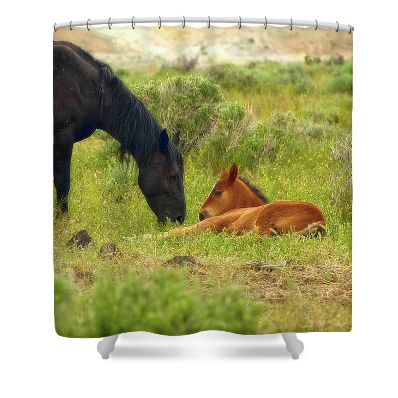 Horse Shower Curtain featuring the photograph Father and Son Horse Love by Waterdancer