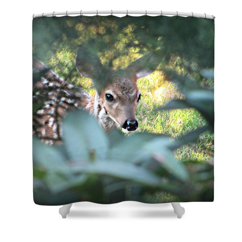 Nature Shower Curtain featuring the photograph Fawn Peeking Through Bushes by KATIE Vigil