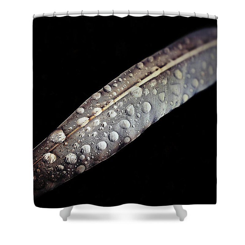 Feather Shower Curtain featuring the photograph Feather dew by Nicklas Gustafsson