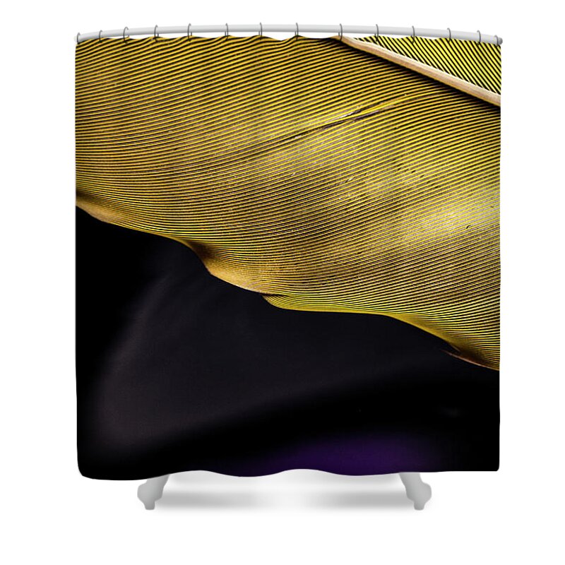 Jean Noren Shower Curtain featuring the photograph Feather Edge by Jean Noren
