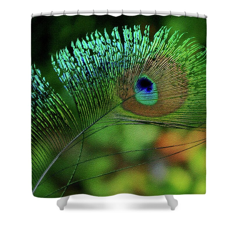 Peacock Shower Curtain featuring the photograph Feather Magic by Bess Carter