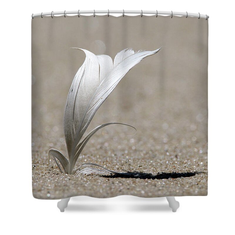 Feather Shower Curtain featuring the photograph Feather Port Jefferson New York by Bob Savage