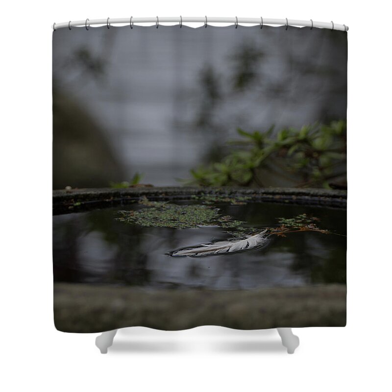 Pond Shower Curtain featuring the photograph A Feeling of Floating Weightlessly by Marilyn Wilson