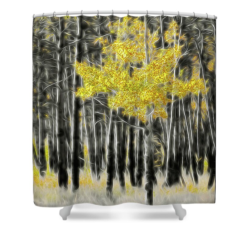 Aspen Shower Curtain featuring the photograph Feathered Aspen by Peggy Dietz