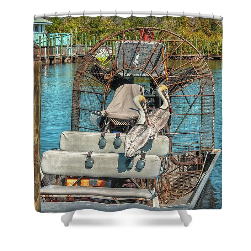 Gefiedert Shower Curtain featuring the photograph Feathered Tourists by Hanny Heim