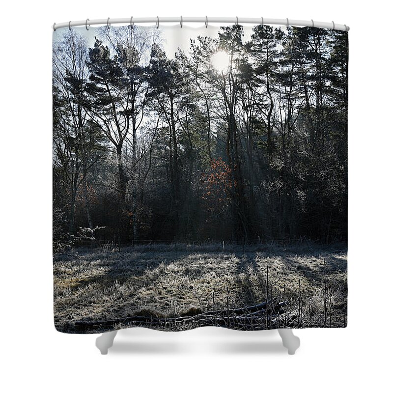 Sweden Shower Curtain featuring the pyrography February morning by Magnus Haellquist