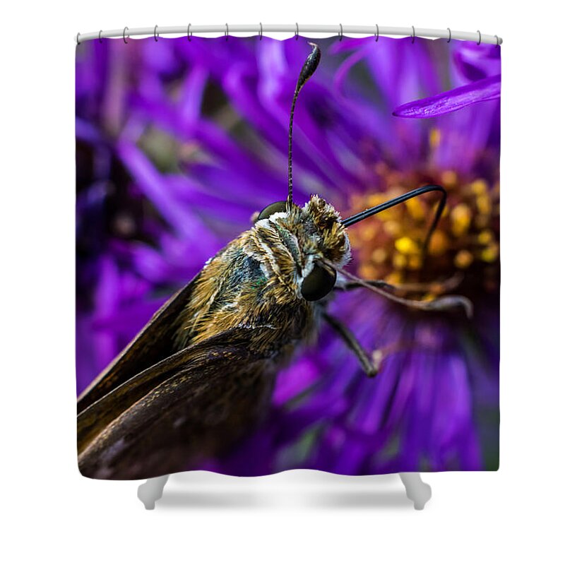 Jay Stockhaus Shower Curtain featuring the photograph Feeding by Jay Stockhaus