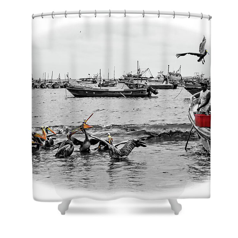 Pelican Shower Curtain featuring the photograph Feeding Time At Puerto Lopez, Ecuador by Al Bourassa