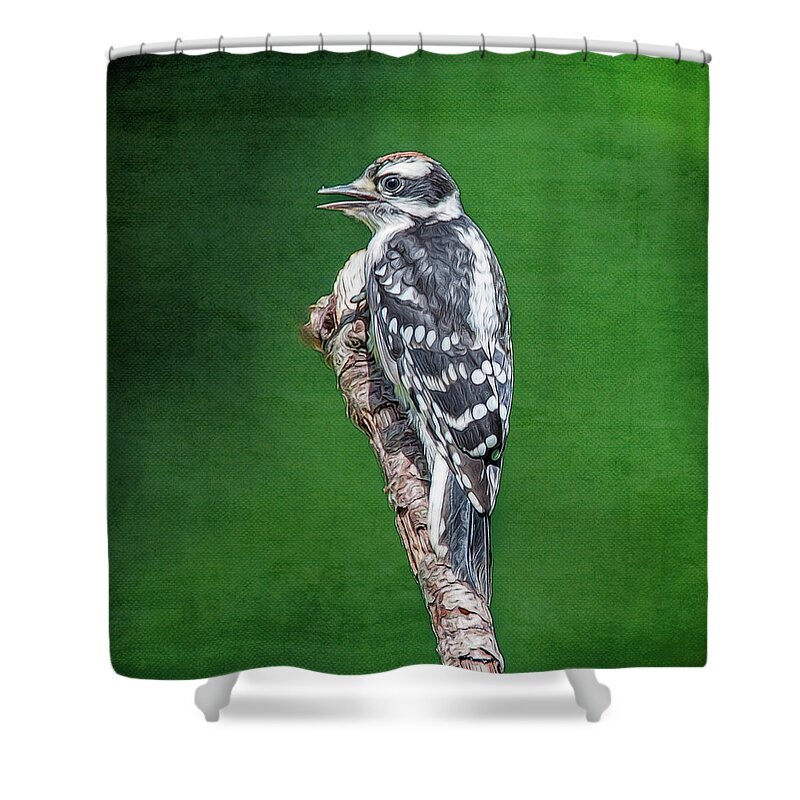 Bird Shower Curtain featuring the photograph Female Downy Woodpecker by Cathy Kovarik