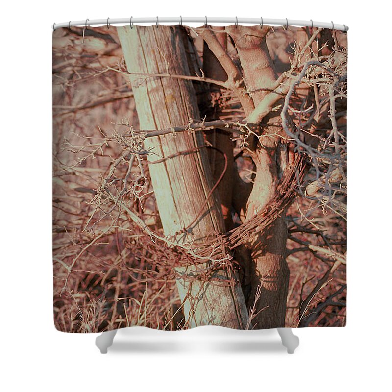 Fence Shower Curtain featuring the photograph Fence Post Buddy by Troy Stapek