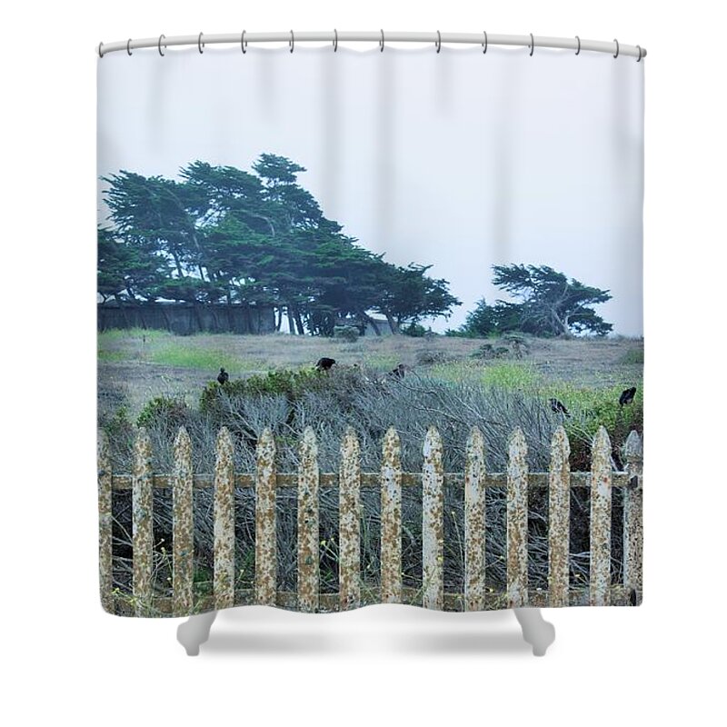 Picket Fence Shower Curtain featuring the photograph Fenced In by Marcia Breznay