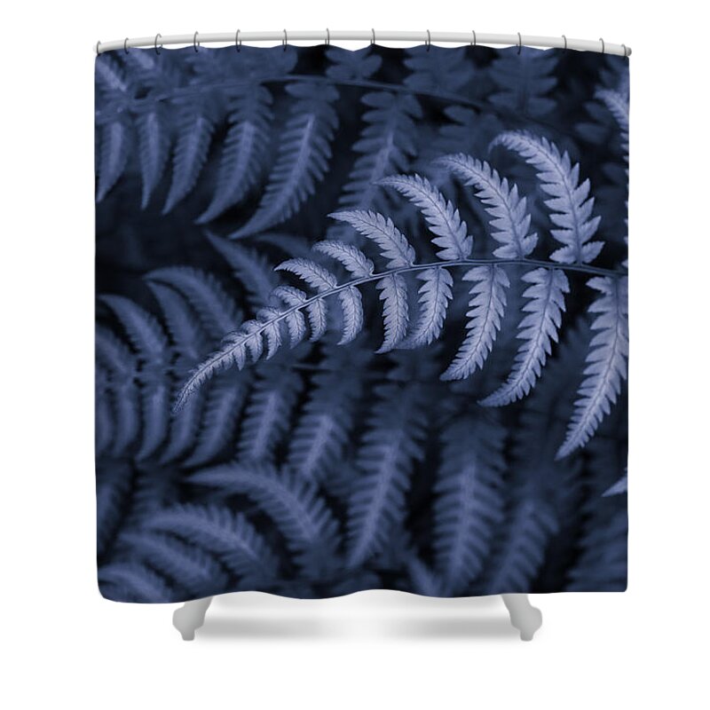 Fern In Blue Shower Curtain featuring the photograph Fern in Blue by Rachel Cohen