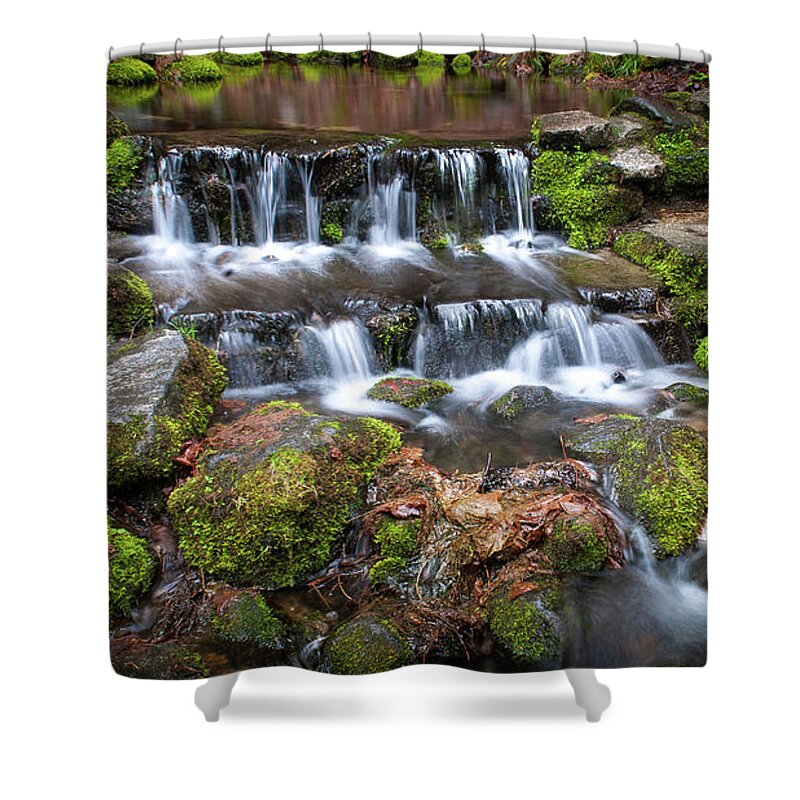 Yosemite Valley Shower Curtain featuring the photograph Fern Springs by Ralph Vazquez