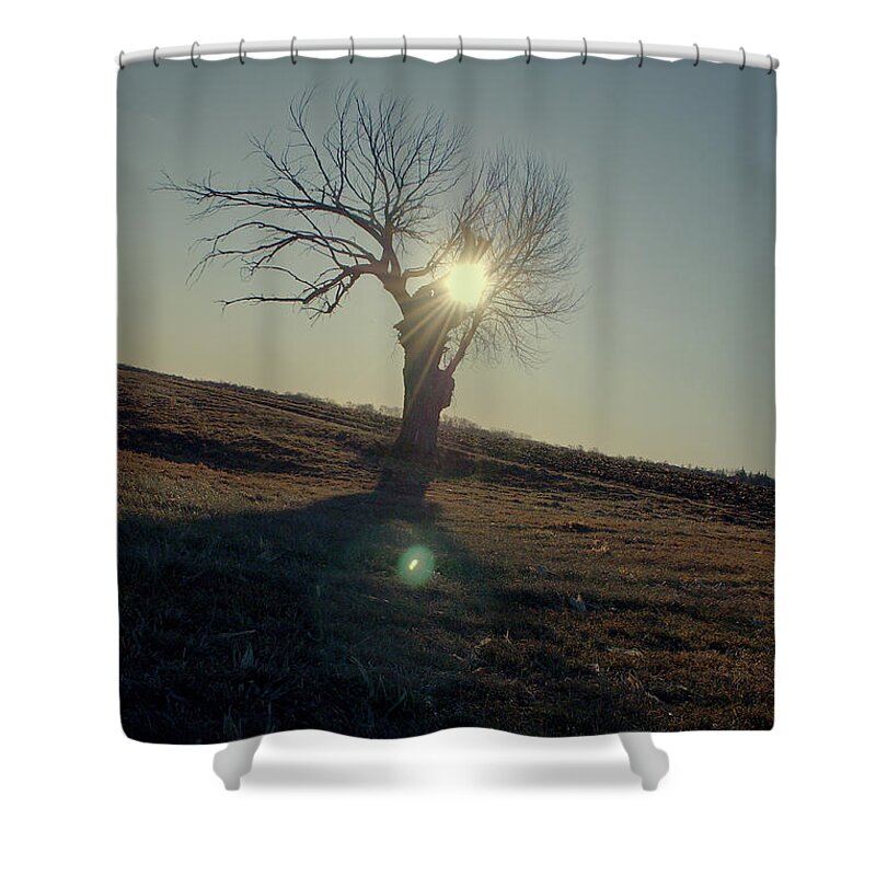 Tree Shower Curtain featuring the photograph Field and Tree by Troy Stapek