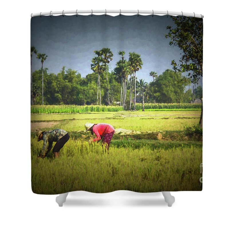 Cambodia Fields Harvest Workers Shower Curtain featuring the photograph Field Cameo by Rick Bragan
