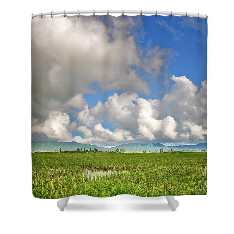 Landscape Shower Curtain featuring the photograph Field by Charuhas Images