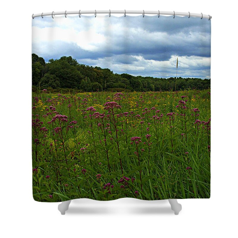 Field Shower Curtain featuring the photograph Field of color by Bruce Carpenter