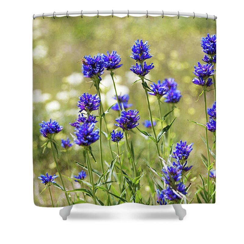Field Of Dreams Shower Curtain featuring the photograph Field of Dreams by Chad Dutson