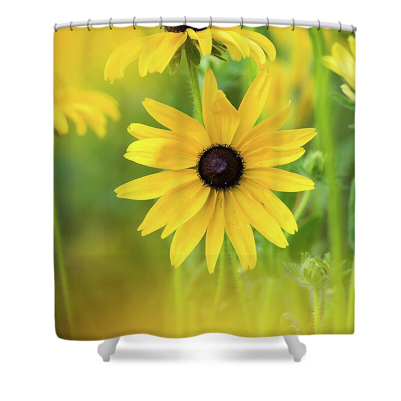 Flower Shower Curtain featuring the photograph Field of Dreams by Jody Partin