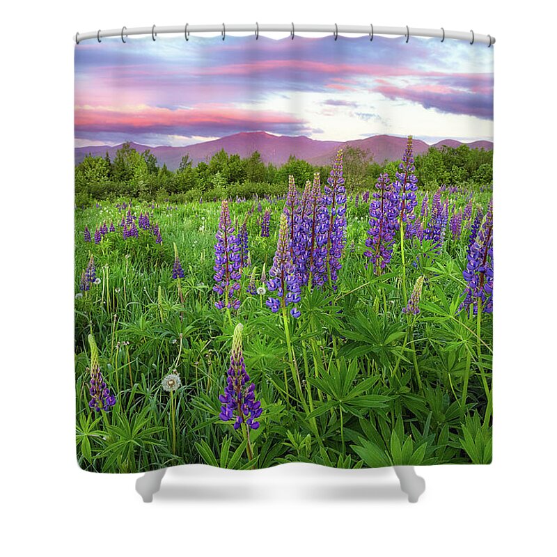 Franconia Notch Shower Curtain featuring the photograph Field of Lupine by Robert Clifford