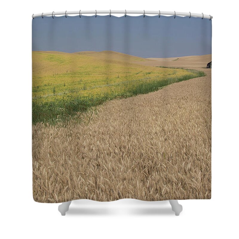 Barn Shower Curtain featuring the photograph Field of Plenty by John Greco