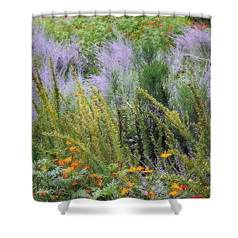 Flowers Shower Curtain featuring the photograph Field Sparkle by Deborah Crew-Johnson